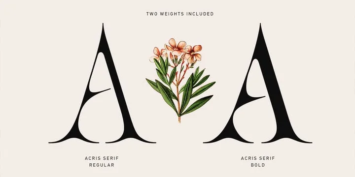 Acris Font Family preview 1 – Serif Fonts font sample