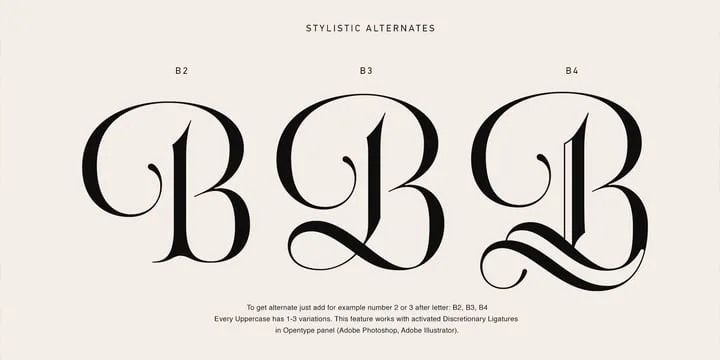 Acris Font Family preview 3 – Serif Fonts font sample