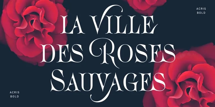 Acris Font Family preview 6 – Serif Fonts font sample