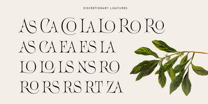 Acris Font Family preview 8 – Serif Fonts font sample