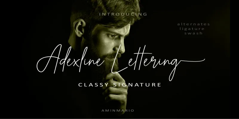 Adexline Lettering Font preview 6 – Font Family font sample
