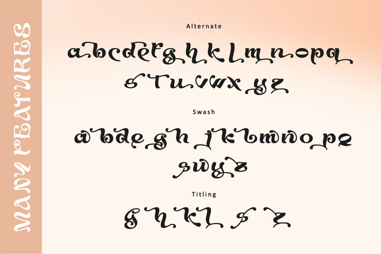 Agaste Font free download preview 2 – Serif Fonts font