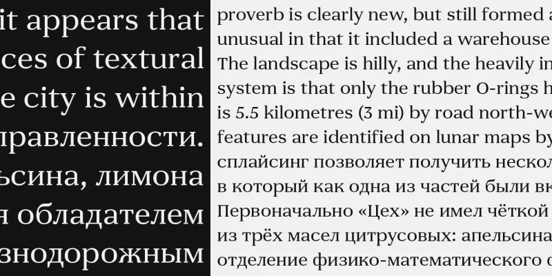 Alarionsa Serif Font Family preview 5 – Serif Fonts font sample