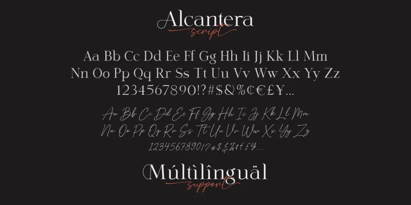 Alcantera Font Duo preview 6 – Serif Fonts font sample
