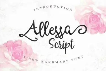 Allessa Script Font free download – Script And Handwritten preview