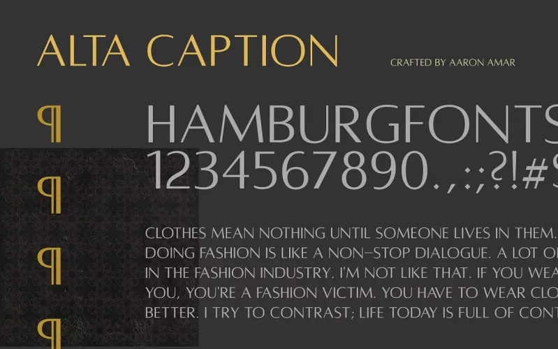Alta Font preview 4 – Serif Fonts font sample