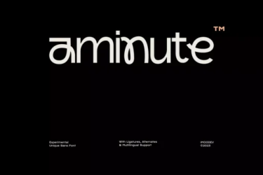 Aminute Font free download – Branding font preview