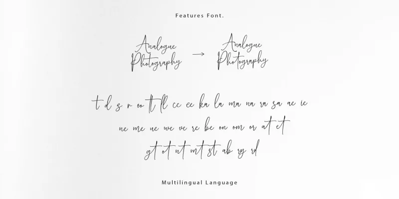 Analogue Photography Font preview 6 – Script And Handwritten font sample