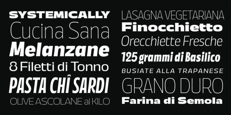 Annuario Font Family preview 2 – Sans Serif Fonts font sample