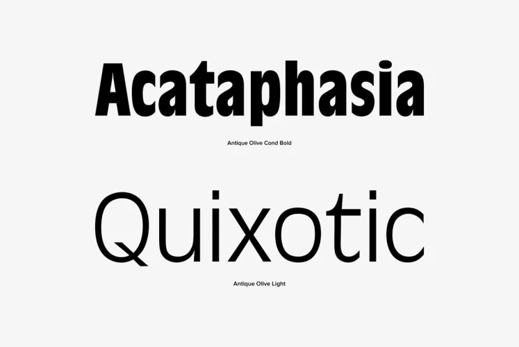 Antique Olive Font preview 3 – Sans Serif Fonts font sample