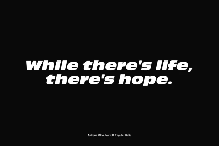 Antique Olive Font preview 5 – Sans Serif Fonts font sample