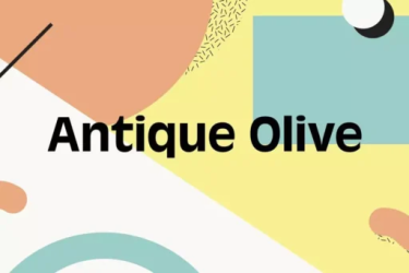 Antique Olive Font free download – Sans Serif Fonts font preview