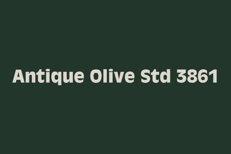 Antique Olive Std Font Family free download preview 1 – Sans Serif Fonts font