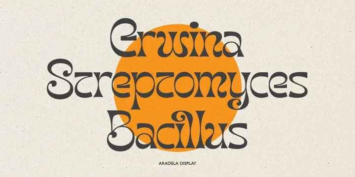 Aradela Display Font preview 6 – Display Fonts font sample