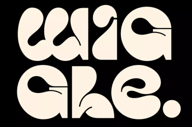 Arrogant Typeface Font free download – Bold font preview