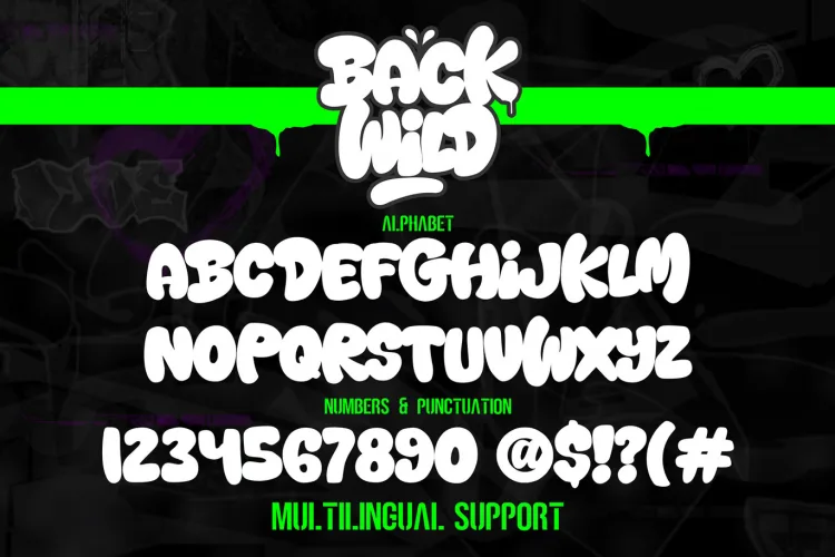 Back Wild Font preview 4 – Display Fonts font sample