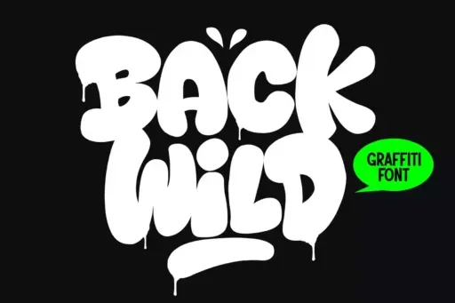 Back Wild Font preview 5 – Display Fonts font sample