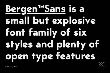 Bergen Sans Font free download – Serif font preview