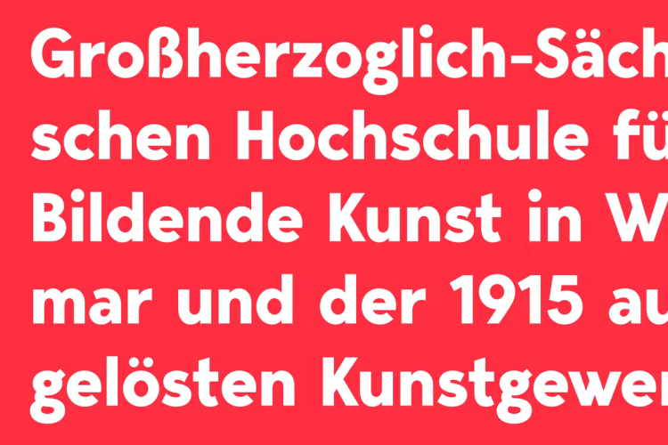 Bergen Text Font free download preview 1 – Serif Fonts font