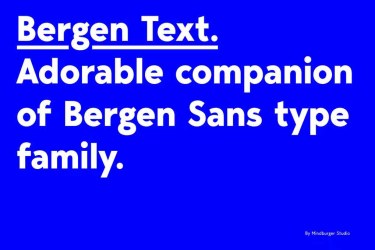 Bergen Text Font free download – Serif Fonts font preview