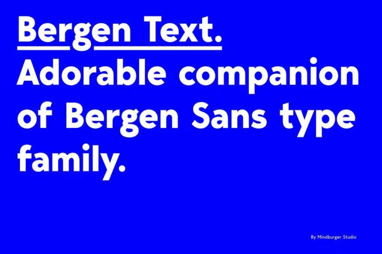 Bergen Text Font free download preview 4 – Serif Fonts font