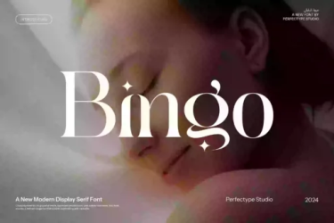 Bingo Font free download – Branding font preview