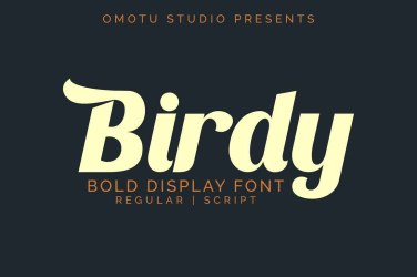 Birdy Font free download – Elegant font preview