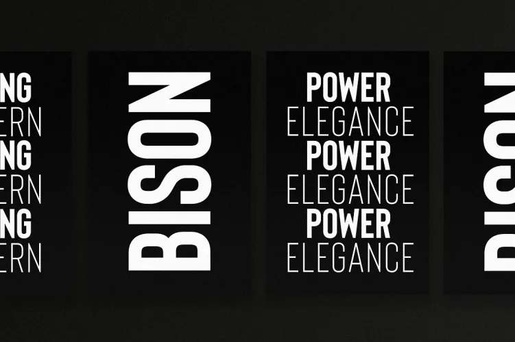 Bison Font preview 3 – Sans Serif Fonts font sample