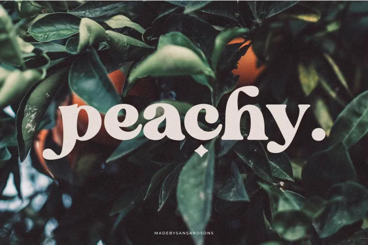 Blanch Sage Font preview 1 – Serif Fonts font sample