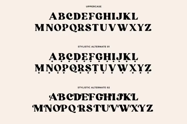 Blanch Sage Font preview 2 – Serif Fonts font sample