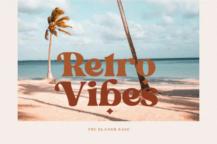 Blanch Sage Font preview 5 – Serif Fonts font sample