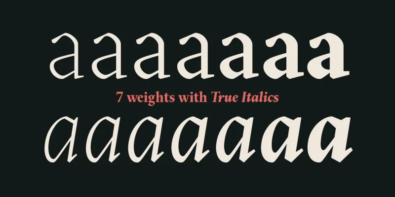 Blizka Font Family preview 2 – Serif Fonts font sample