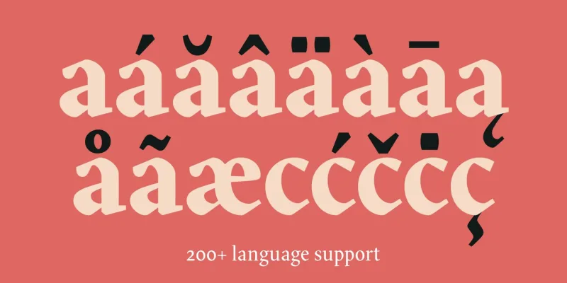 Blizka Font Family preview 5 – Serif Fonts font sample