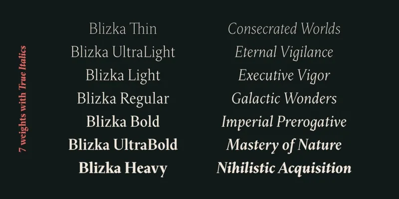 Blizka Font Family preview 8 – Serif Fonts font sample