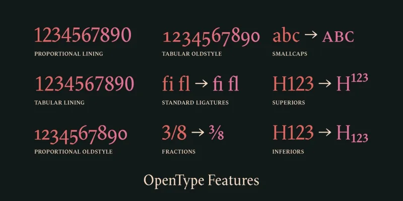 Blizka Font Family preview 9 – Serif Fonts font sample
