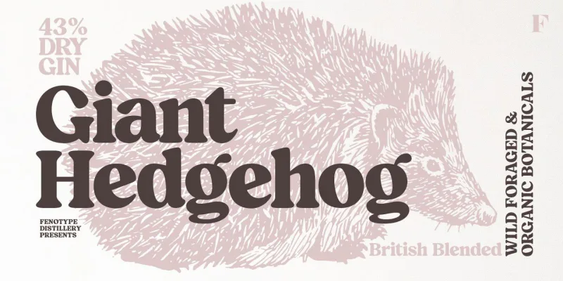 Blood Orange Font preview 10 – Serif Fonts font sample
