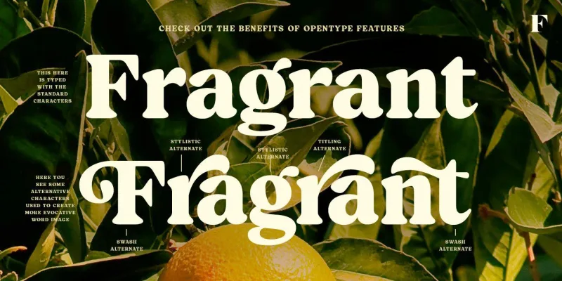 Blood Orange Font preview 2 – Serif Fonts font sample