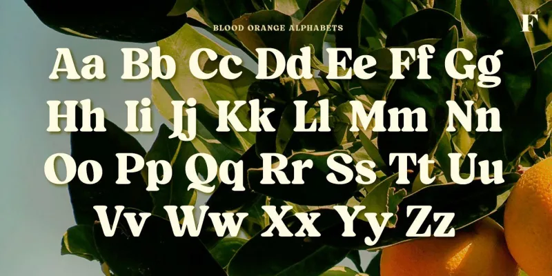 Blood Orange Font preview 5 – Serif Fonts font sample