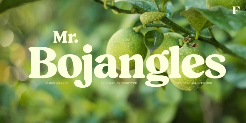Blood Orange Font preview 7 – Serif Fonts font sample