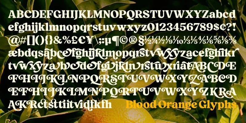Blood Orange Font preview 9 – Serif Fonts font sample