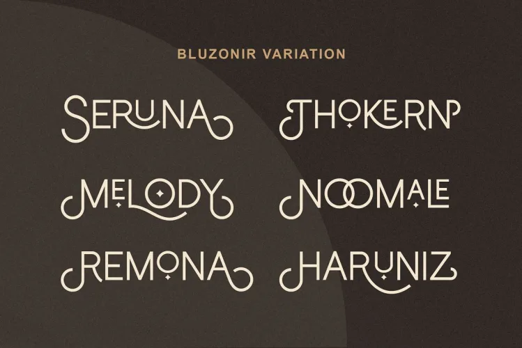 Bluzonir Stylish Sans Serif Font preview 1 – Web Fonts font sample
