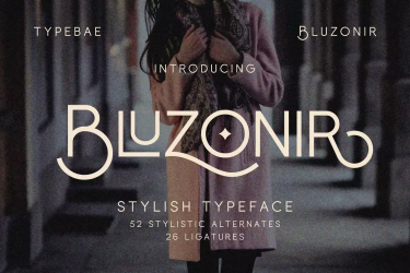 Bluzonir Stylish Sans Serif Font free download – Web Fonts font preview