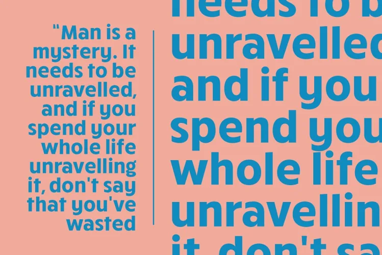 Bolga Display Sans Serif Font preview 2 – Display Fonts font sample