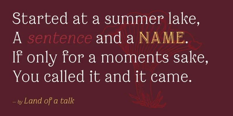 Bottled Moon Font Family preview 8 – Display Fonts font sample