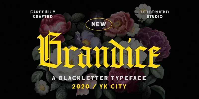 Brandice Font preview 9 – Typeface font sample