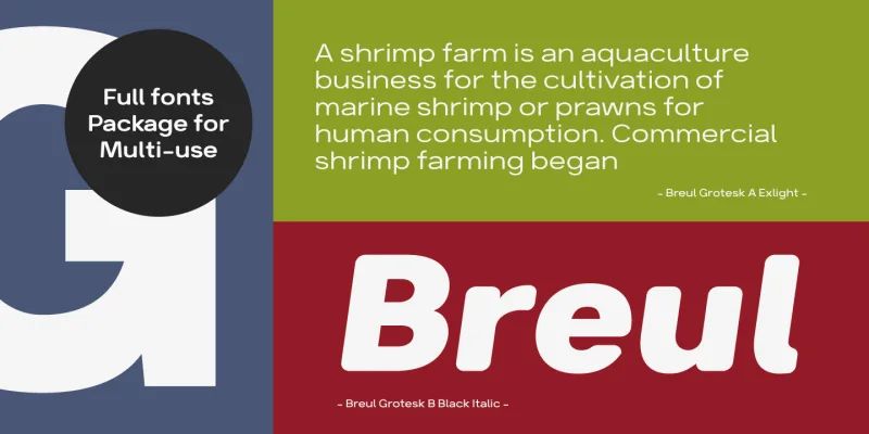 Breul Grotesk Font Family preview 4 – Sans Serif Fonts font sample