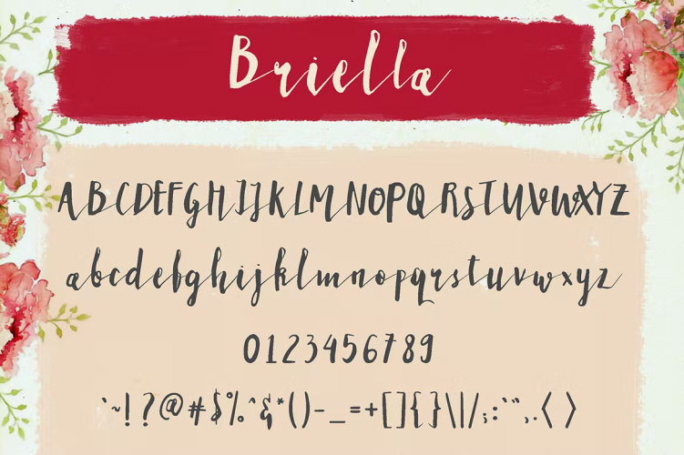 Briella Font free download preview 2 – Serif Fonts font