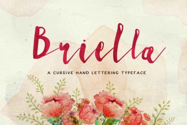 Briella Font free download – Branding font preview