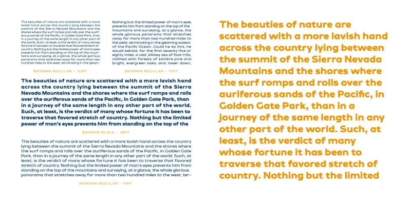 Brinnan Font preview 3 – Serif Fonts font sample