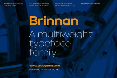 Brinnan Font free download – Serif Fonts font preview